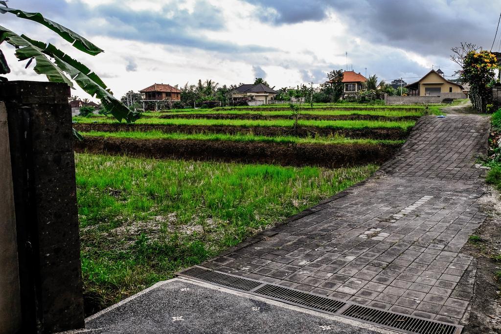 Harum Sari Ubud Private Villa Eksteriør bilde